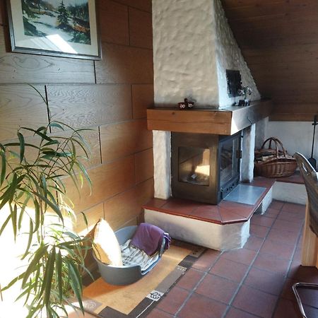 Aussergewoehnliche Atelierferienwohnung Mit Balkon An Der Donau Winzer Экстерьер фото